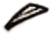 débris 1