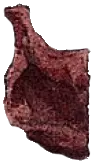pétale 2