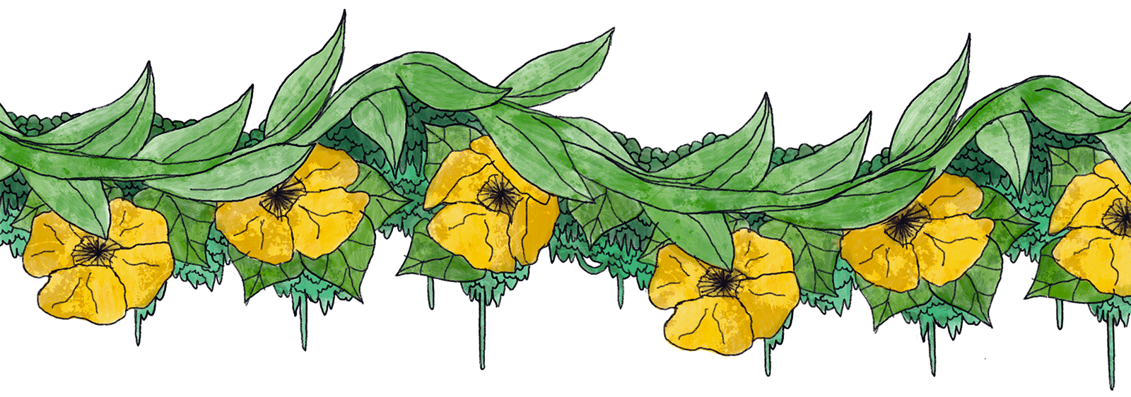 Fleurs jaunes