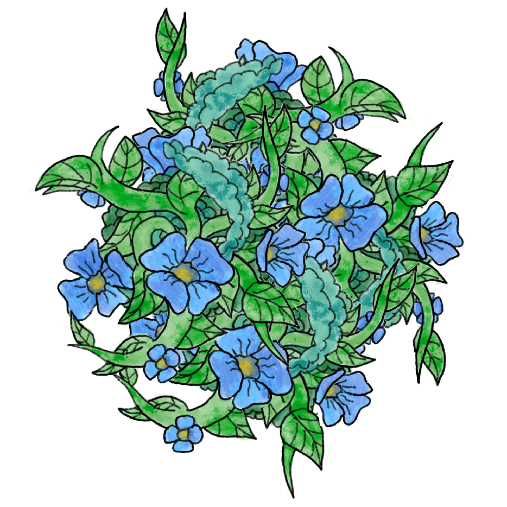 Fleurs bleues