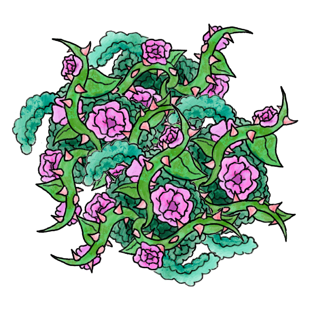 Fleurs roses